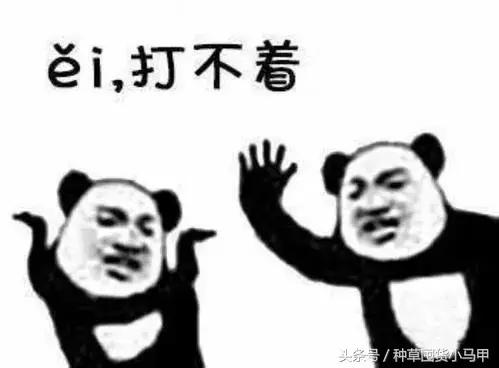 10块钱名创优品能买什么文具,10块钱以内的名创优品好物