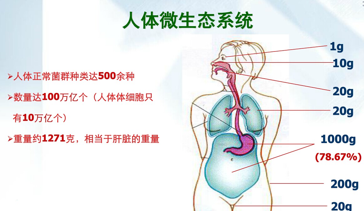 阴道炎，怎么才能跟你分手？