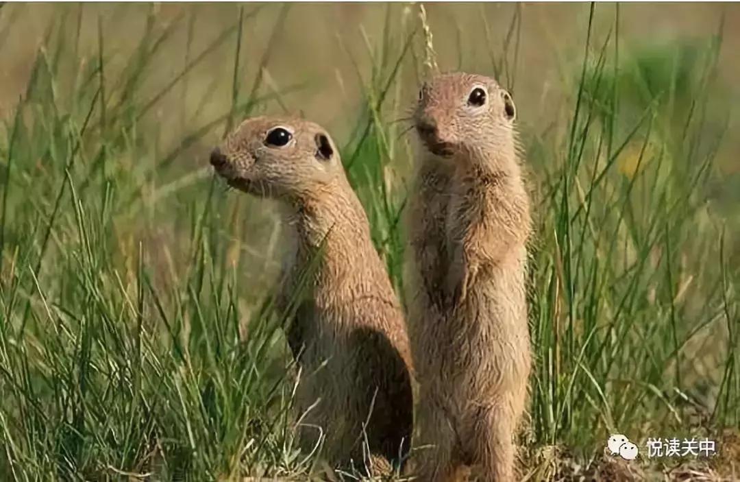 小时候的那些事视频,小时候的那些经历