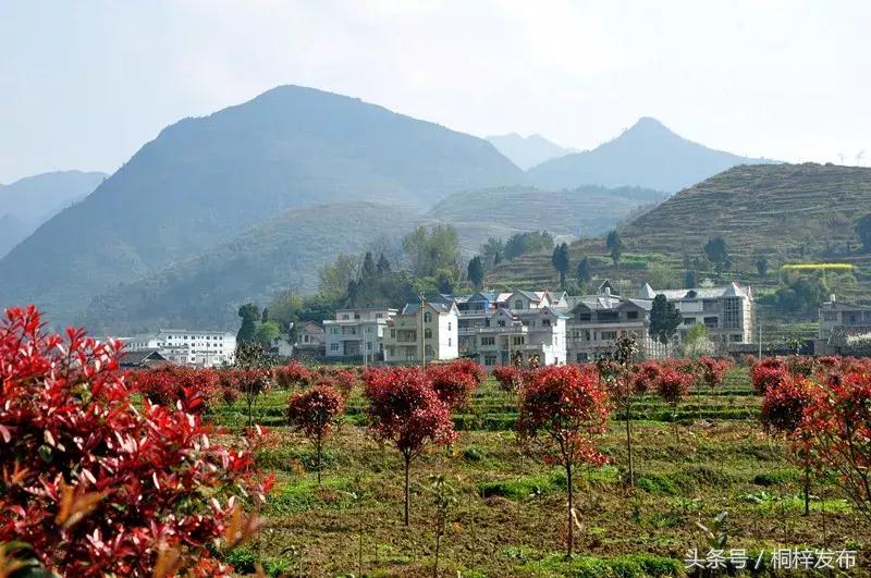 贵州桐梓县好玩的,好玩的地方桐梓