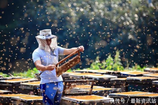 蜂蜜抽检7种存在掺假嫌疑 (蜂蜜最新抽查结果)