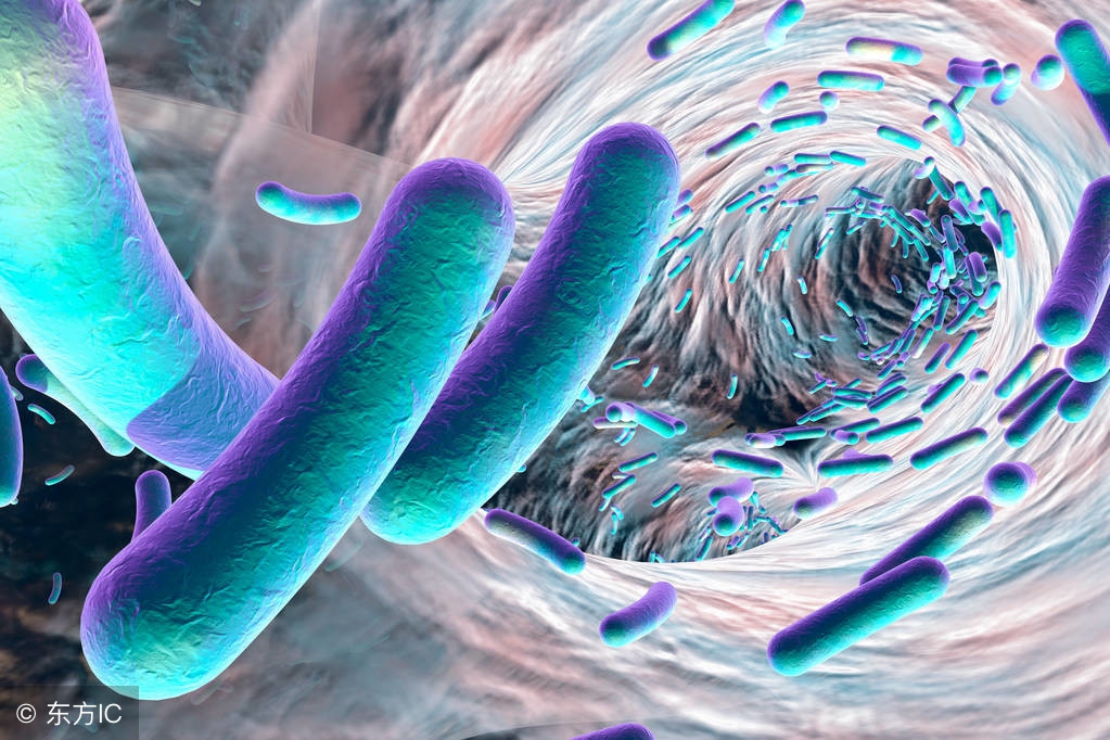 尿液变红了是不是结石又要犯了,尿液颜色改变警惕血尿发生