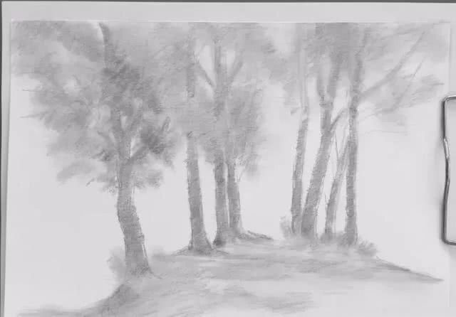 春天的美景素描,手把手教画风景