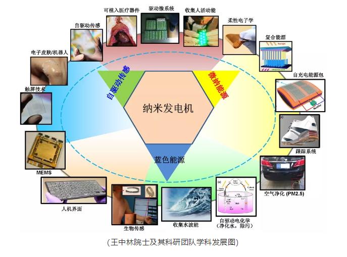 王中林获得什么奖,纳米王中林最新消息