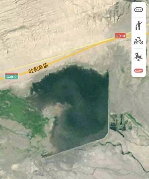 人打窝了,手机也掉水里了,终于把这大家伙弄上来了!