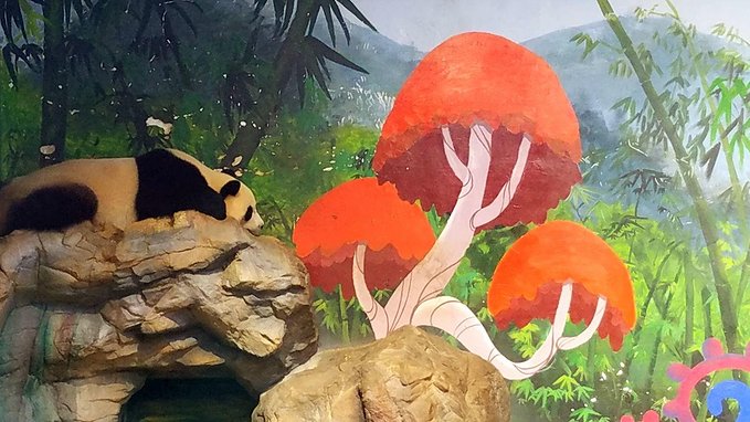 长隆广州野生动物园带娃游玩攻略,一大一小亲子游长隆野生动物园