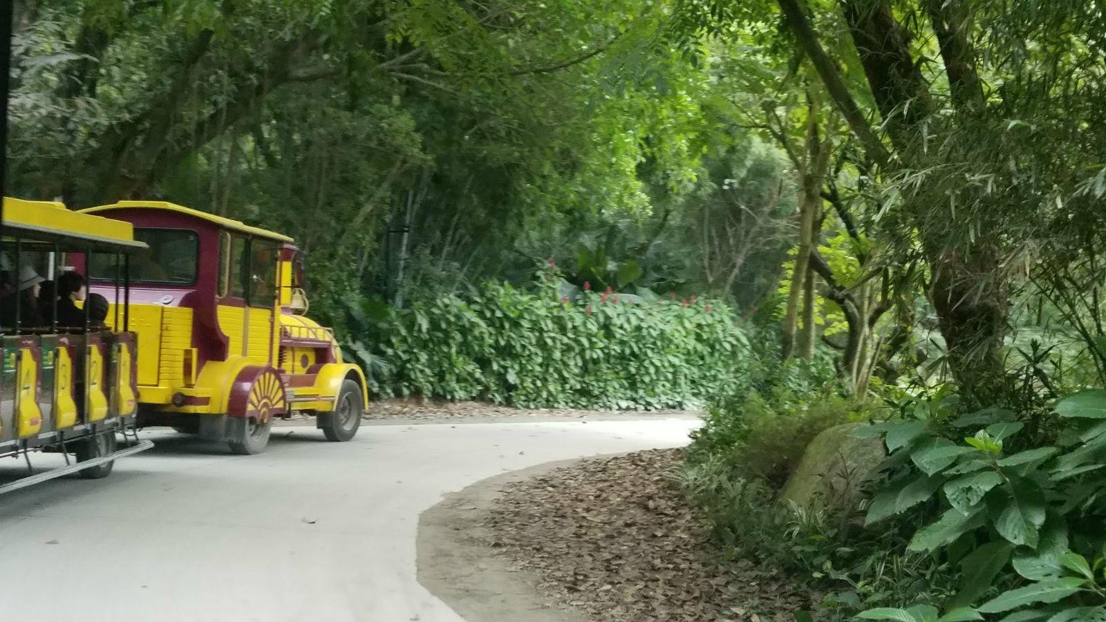 长隆广州野生动物园带娃游玩攻略,一大一小亲子游长隆野生动物园