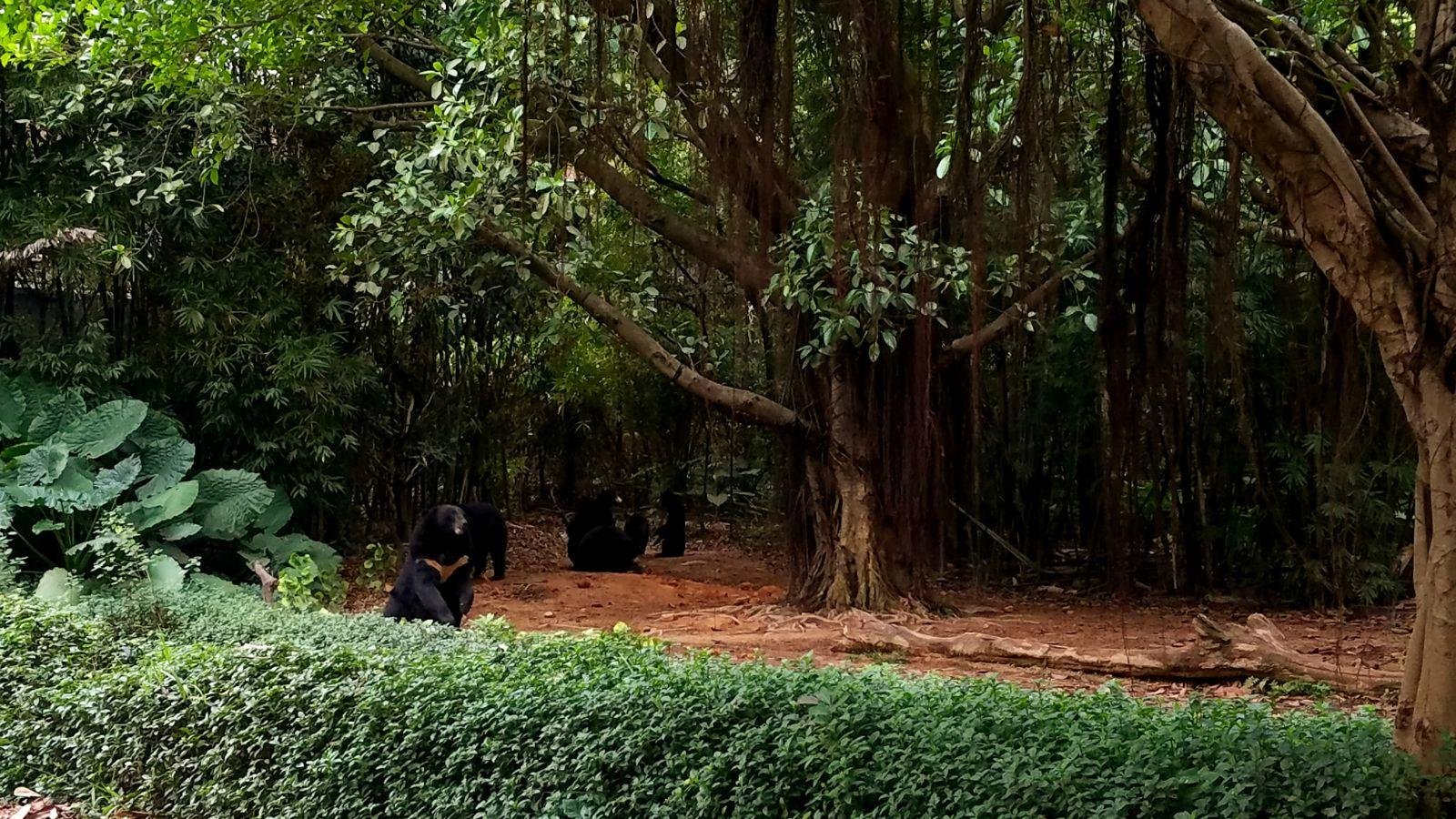长隆广州野生动物园带娃游玩攻略,一大一小亲子游长隆野生动物园