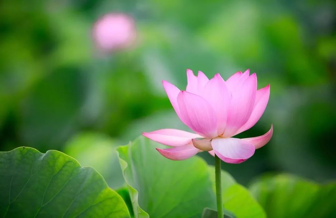 在路上迷人的风景,在路上的美景