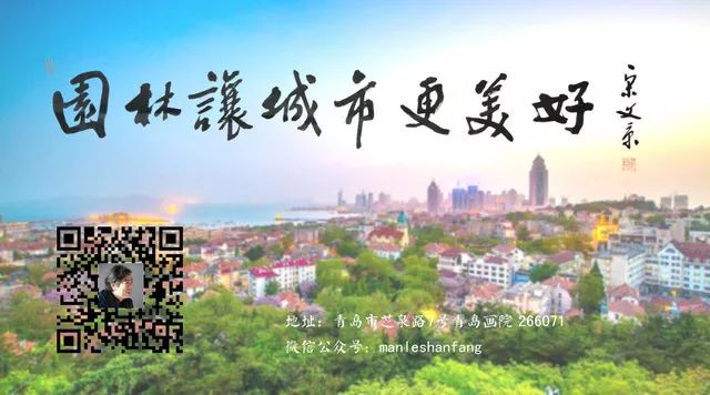 凤仙花室内养殖方法,凤仙花盆栽养殖方法视频