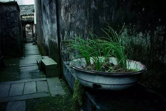 独自旅行一定要去的地方,第一次独自旅行去了哪里