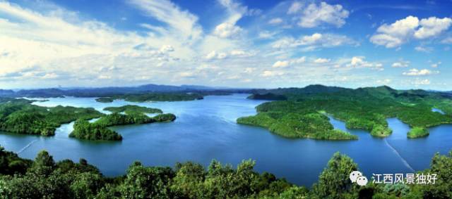 519江西景区免门票,519浙江旅游日免费景点
