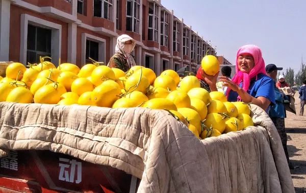 走遍天涯海角忘不了歌名叫什么,走遍天涯海角忘不了原唱