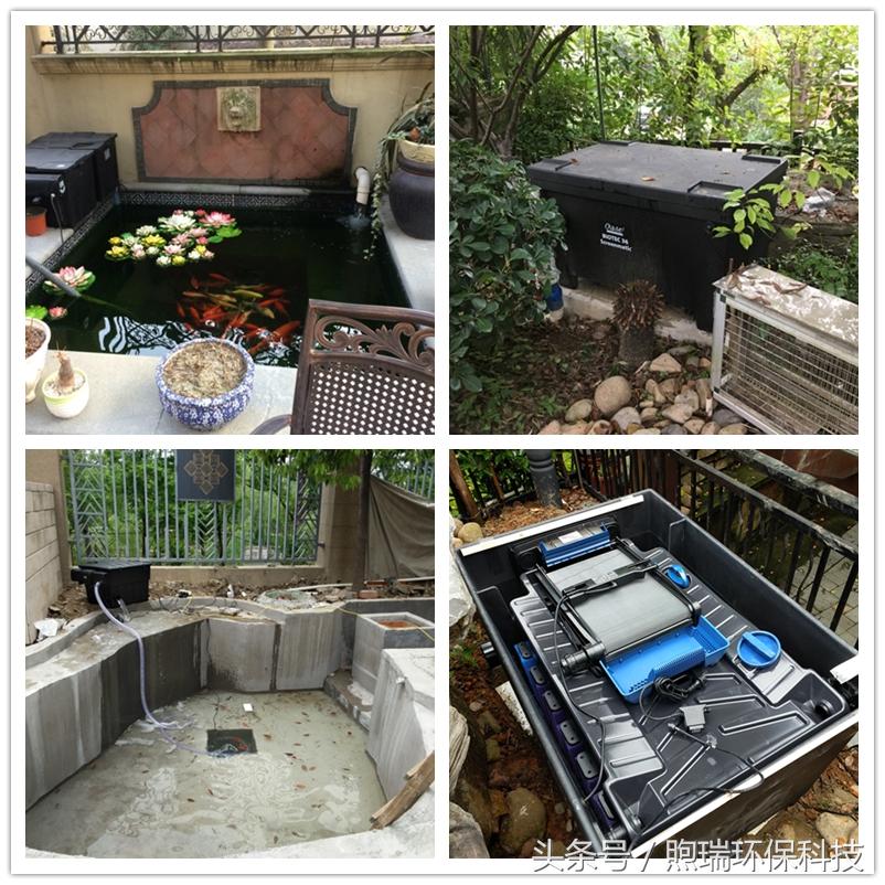 锦鲤鱼池过滤系统教程全过程,锦鲤鱼池过滤系统推荐