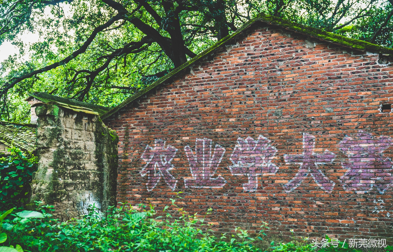 东莞一大古村,东莞具有世界工厂的称号