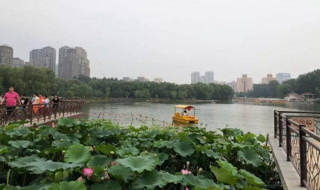 北京哪些公园对18岁以下免费,北京60岁以上老人免费公园明细