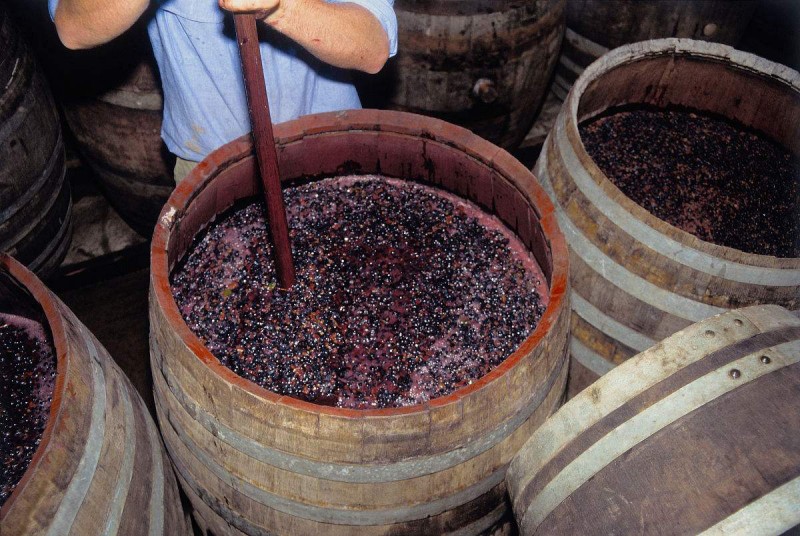 红酒莫吉斯,无醇干红和无醇起泡酒区别大吗