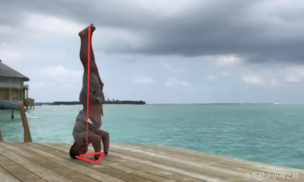 慢起倒立和自由倒立先练哪个,自由倒立技巧要领图解