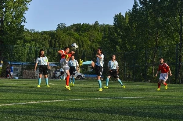 第一书记的主要工作内容,第一书记主要做法及取得的成效