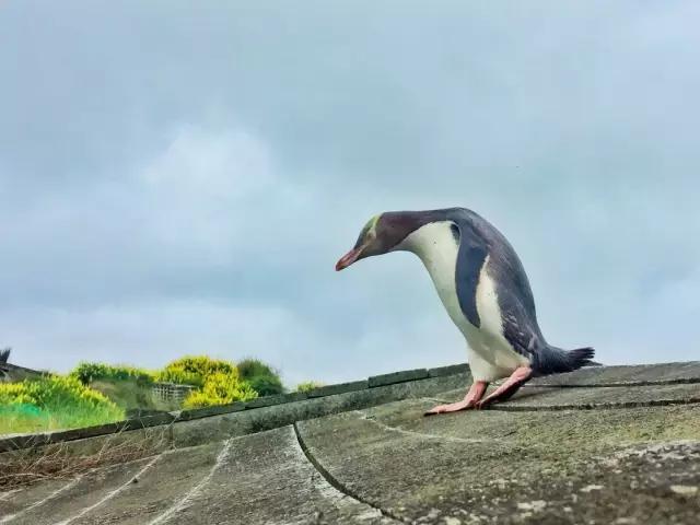 张程皓图片,张程皓照片
