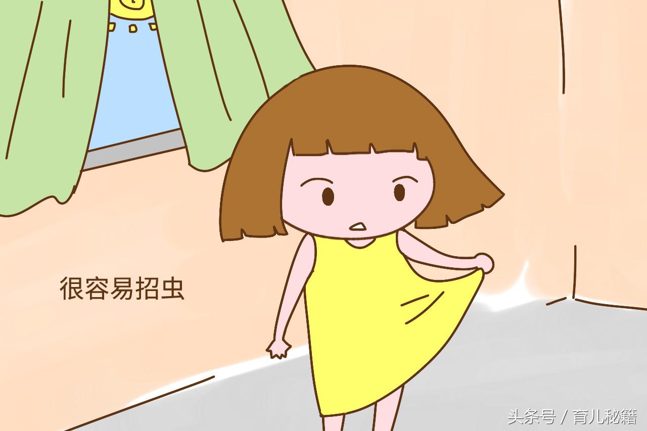 夏天中国十大常见有毒虫子,夏天常见的有毒的飞虫有哪些