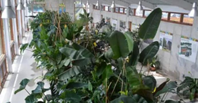 污水横流脏乱差怎么办,污水处理厂最恶心的地方