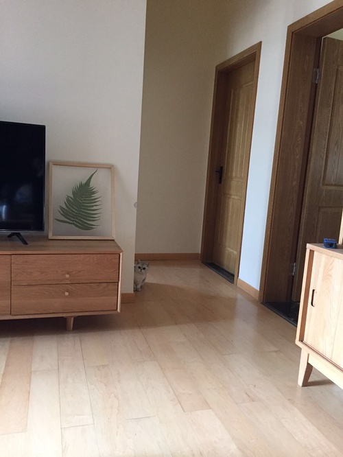 装修入住3个月总结35条血泪教训,入住一年后的总结