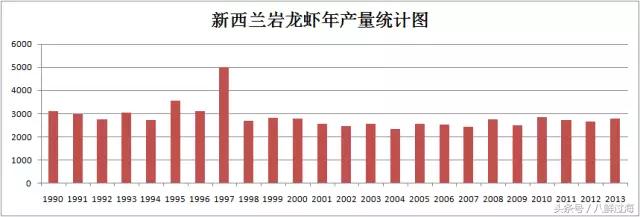 新西兰红色岩龙虾,新西兰岩龙虾介绍