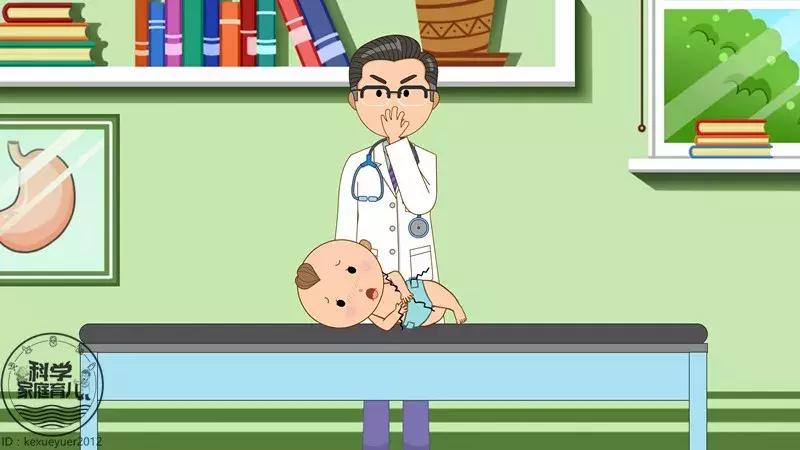 夏季虫多如何预防消灭,夏季要预防的四种虫子