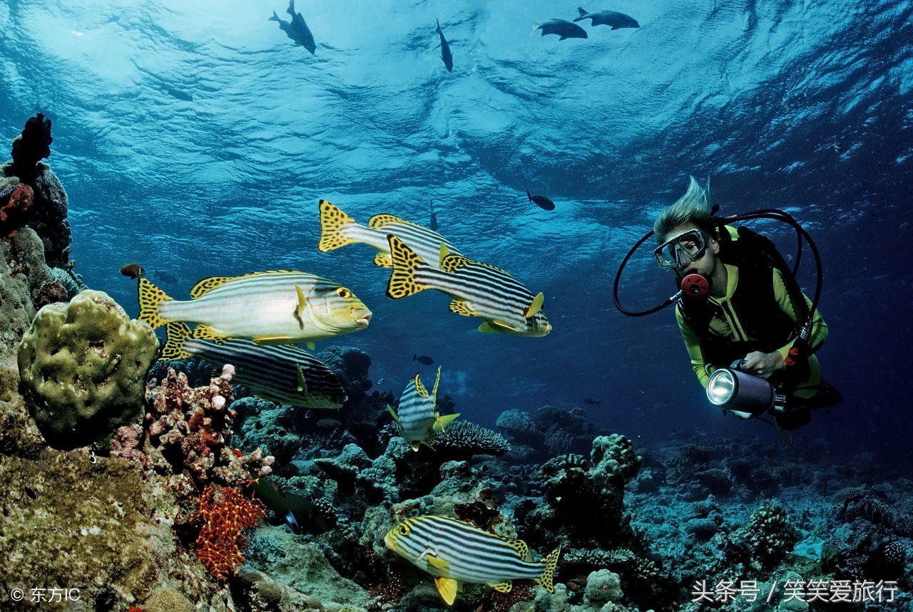 离我们最近的马尔代夫,心心念念的三亚