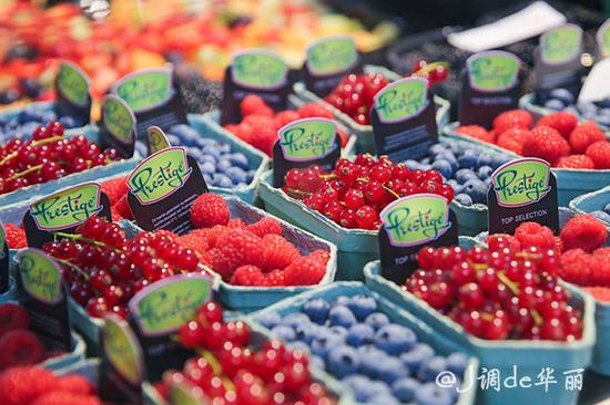 欧洲行荷兰鹿特丹,去荷兰看梵高