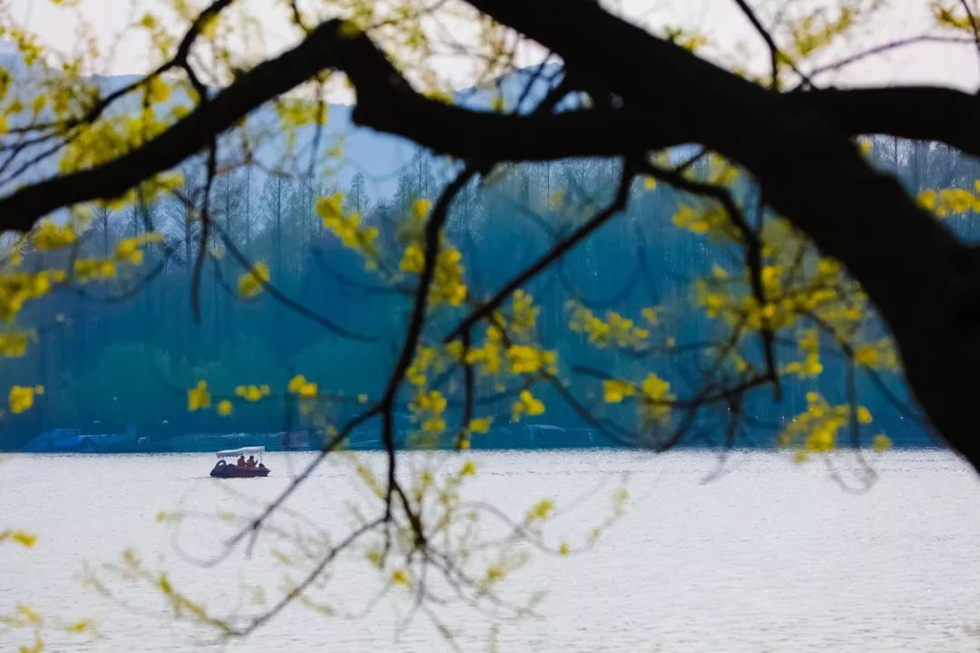 24-70mm焦段适合拍什么,24-70适合挂机吗