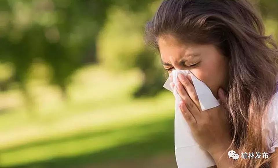 榆林治理鼻炎,榆林花粉实时监测平台