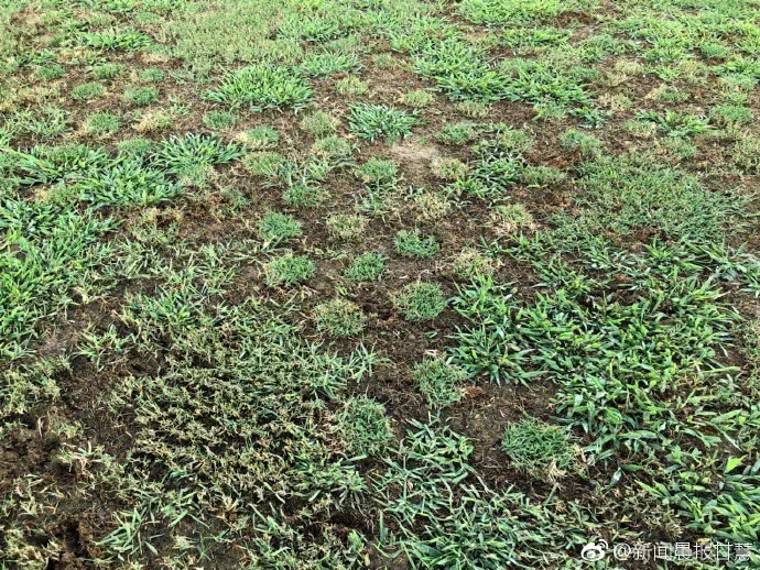 中超最新一场比赛,中超第29轮闹剧的具体原因