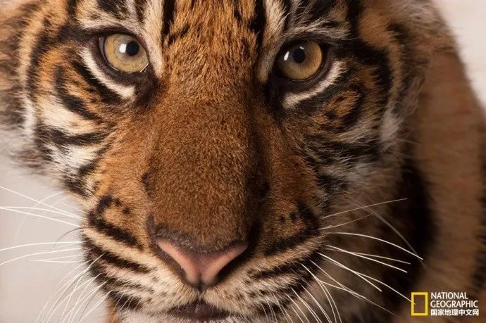 “谢谢你们，我们终于快死光了”