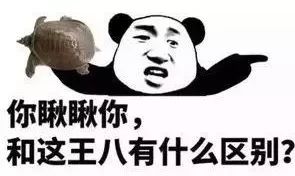 上海利好最新消息,上海基建最新利好