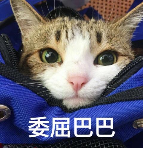 模拟宇宙进化的游戏,游戏开发物语先开发什么游戏