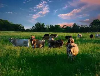 厉害了我的国英文,厉害了我的国近5年的成就