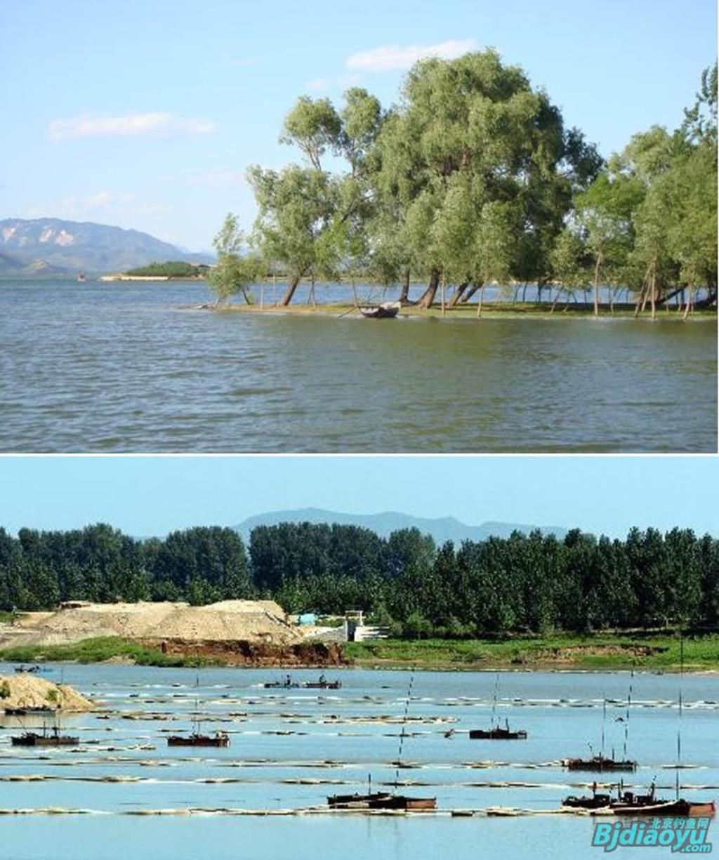 我的筏钓之乐全集,我的筏钓之乐完整版