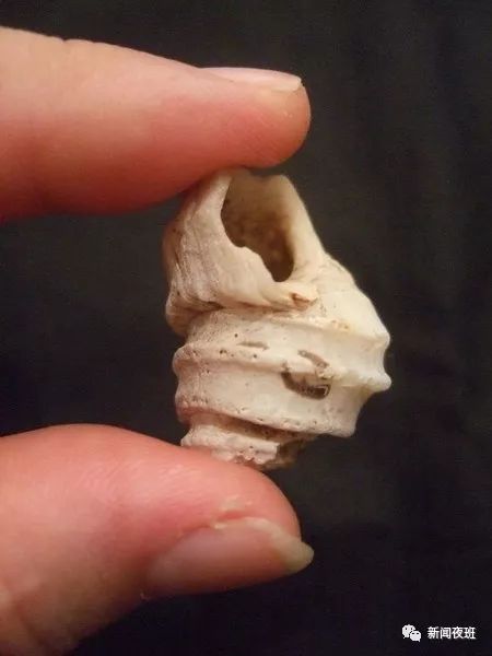 南宁历史上的大事,广西南宁市有哪些大事