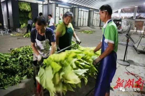浏阳经开区最新项目进展,即将落户浏阳经开区的大项目