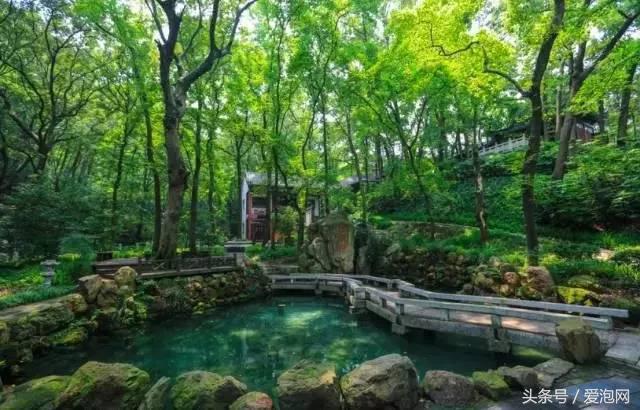 江浙沪深山老林旅游最好去处,清凉避暑好去处森林氧吧