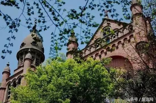 江浙沪深山老林旅游最好去处,清凉避暑好去处森林氧吧