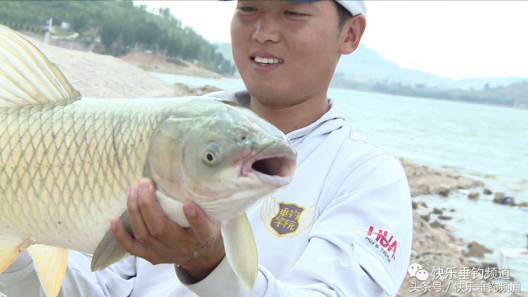 夏季怎么钓草鱼容易上钩,夏季水库钓青鱼草鱼用什么饵料