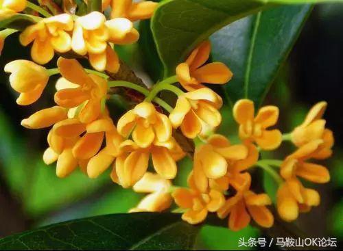 2018马鞍山终极考卷,难哭考生的数学题