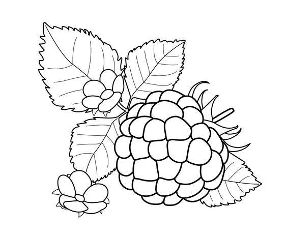 各种水果蔬菜的简笔画图片,简笔画蔬菜水果24张简单简笔画