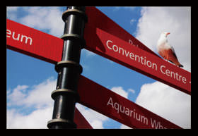 佳能单反相机操作使用设置教程,单反相机新手基础教程佳能