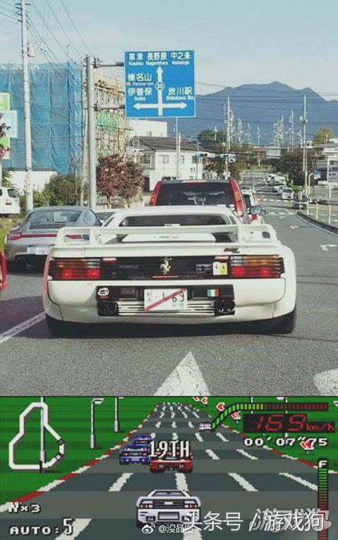 第一次养仓鼠日常生活,仓鼠已经养了6天了