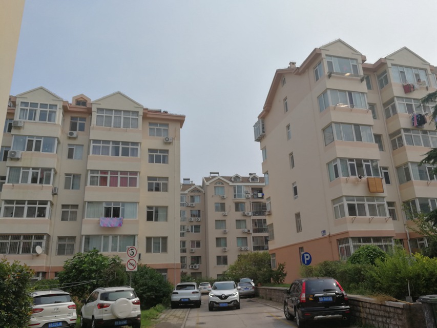 青岛2017年城建,青岛城建最新视频