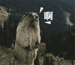 两万块的ysl鞋,ysl2万左右的包